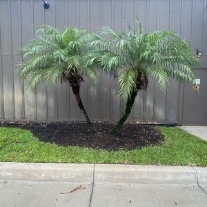 Meet your Posher, Allyson